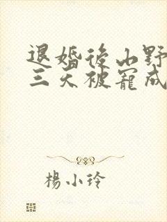 退婚后山野糙汉三天被宠成宝小说