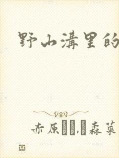 野山沟里的村庄