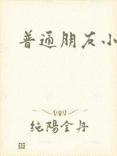 普通朋友小说