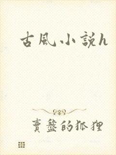 古风小说h