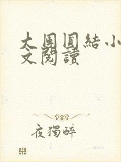 大团圆结小茹全文阅读