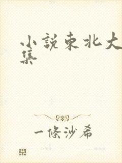 小说东北大炕全集