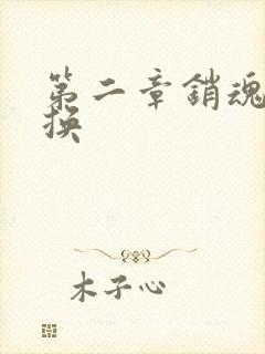 第二章销魂的交换