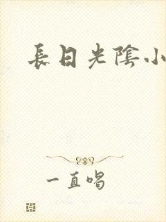 长日光阴小说