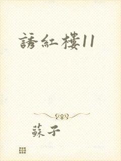 诱红楼11