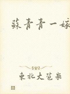 苏青青一嫁三夫