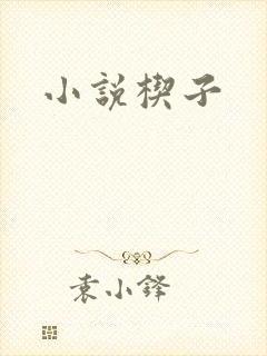 小说楔子
