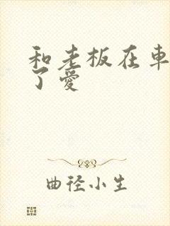 和老板在车里做了爱