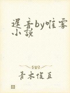 迟音by唯雾的小说