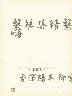 系统集精系统高嗨