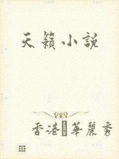 天籁小说