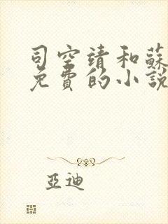 司空靖和苏月汐免费的小说笔趣阁