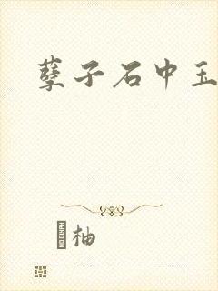 孽子石中玉