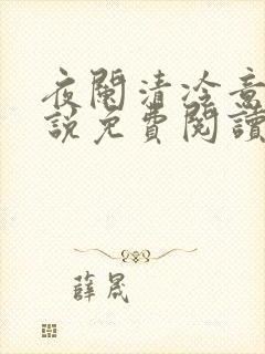 夜阑清冷意欢小说免费阅读