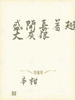 盛开长着翅膀的大灰狼