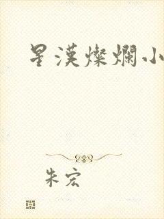 星汉灿烂小说