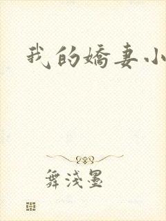 我的娇妻小说
