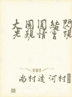 大团圆结闪闪发光亲情会视频