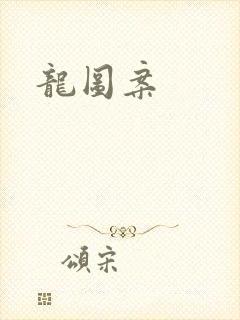 龙图案