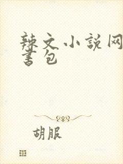 辣文小说网第二书包