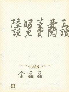 陆昭菱晋王的小说免费阅读