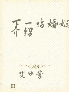 下一站婚姻剧情介绍