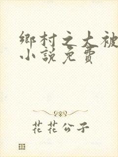 乡村之大被同眠小说免费