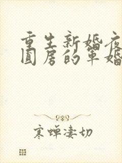 重生新婚夜正在圆房的军婚