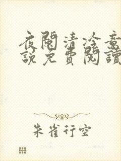 夜阑清冷意欢小说免费阅读