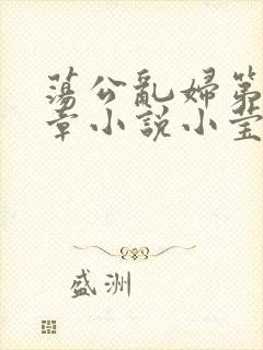 荡公乱妇第51章小说小莹