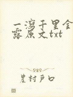 一泻千里金银花露原文txt