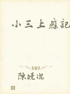 小三上瘾记