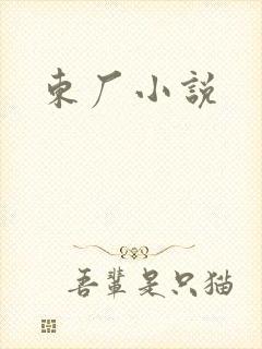 东厂小说