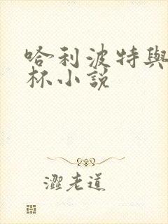 哈利波特与火焰杯小说