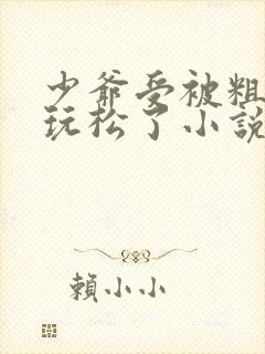 少爷受被粗汉H玩松了小说