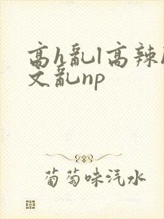 高h乱l高辣h文乱np