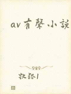 av有声小说