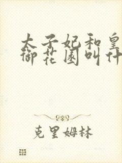 太子妃和皇帝在御花园叫什么小说