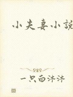 小夫妻小说