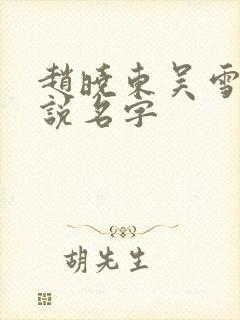 赵晓东吴雪晴小说名字