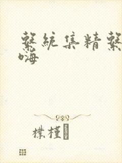 系统集精系统高嗨