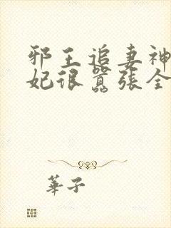 邪王追妻神医狂妃很嚣张全文免费