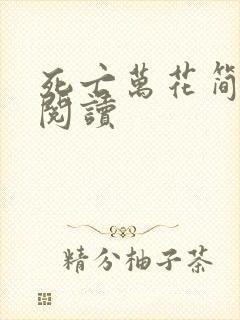 死亡万花简小说阅读