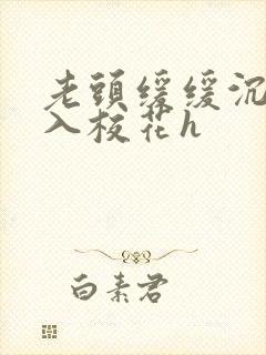 老头缓缓沉腰进入校花h