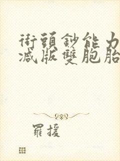 街头钞能力无删减版双胞胎