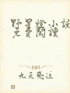 野星灯小说全文免费阅读