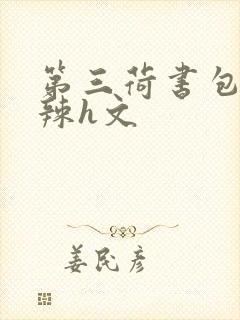 第三荷书包网高辣h文