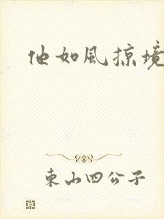 他如风掠境