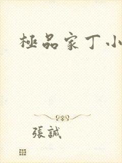 极品家丁小说