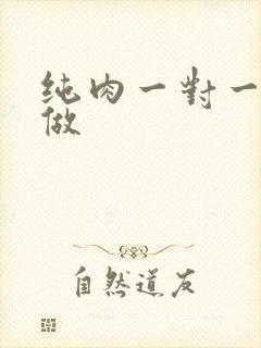 纯肉一对一到处做